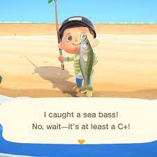 Dropped fish include barbel steed , eel , and the rainbow trout. Animal Crossing New Horizons Fish Guide Prices Location More