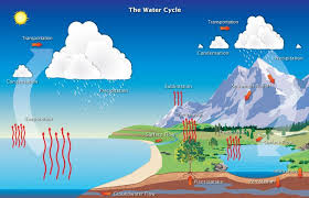 Water Cycle The Water Or Hydrologic Cycle Describes The Pilgrimage Of Water As Water Molecules Make Their Way Fro Water Cycle Hydrological Cycle Groundwater