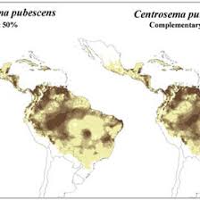 Image result for Aeschynomene pawekiae