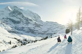 Mit den bergbahnen geht es bequem zum start und schon kann es losgehen. Schlitteln In Der Schweiz Die Besten Schlittelbahnen Dossier
