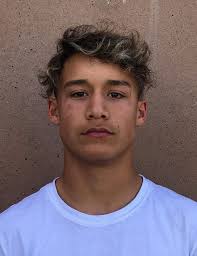 High school football: Enterprise Wolves 2019 preview