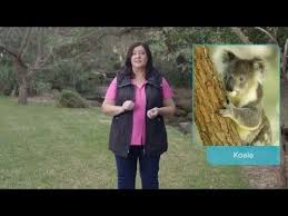 Hsc Study Lab Y11 Biology Field Study Youtube Biology Aquatic Ecosystem Animal Species