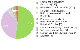 Image result for Aristida pilgeri