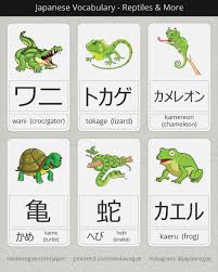 Japanese Names For Reptiles Amphibians Korean Language Learn Japanese Words Korean Words Learning