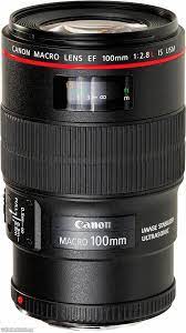 Canon 100mm F 2 8 Is L Macro Recommended By A Nw Group Member Macro Lens Canon Macro Lens Canon Macro