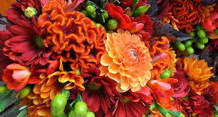1403 w boynton beach blvd, boynton beach, fl 33426. Coastal Wholesale Florist Linkedin