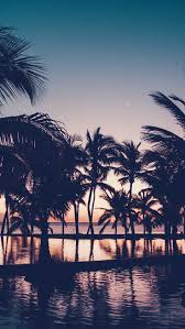 Palm trees beach nature sunset wallpaper beach sunset. 45 Free Beautiful Summer Wallpapers For Iphone