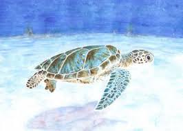 A compilation of some past underwater and ocean illustrations. Sea Turtle Underwater Watercolor Painting Poster By Savousepate Displate
