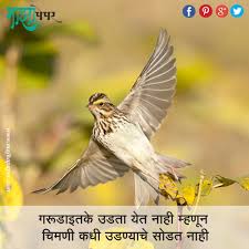 Just Because The Sparrow Can T Fly As High As The Eagle Doesn T Mean It Stops Flying Altogether Never Giv Jokes Quotes Marathi Quotes Quotes About Everything