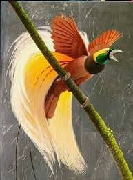 Birds Of Prey Flower Meaning Bird Of Paradise With Images Birds Most Beautiful Birds Beautiful Birds