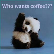Who Wants Coffee Quotes Cute Quote Coffee Morning Panda Coffee Humor Come To Bagels And Bites Cafe In Baby Animals Pictures Fluffy Animals Cute Baby Animals