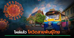 โควิดสายพันธุ์ใหม่ มีต้นตอจากชายชาวอียิปต์ เดินทางเข้าไทยเมื่อวันที่ 26 ม.ค. Sz0qxbkv5spunm