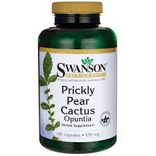Prickly pear cactus is a classic gorgeous cactus that is easy to care for. Prickly Pear Cactus Opuntia Swanson Health Products Europe