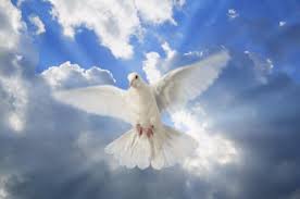 Image result for holiness