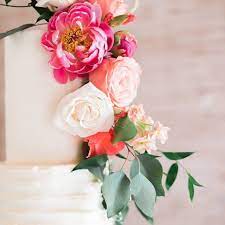 Florist — san jose, santa clara county, california, united states, found 55 companies. Bloomster S Home Facebook