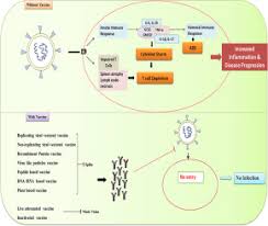 Those elderly people, who had received a shot of vero cell vaccine earlier, will be given their second dose from july 6, according to the ministry of health and population ( mohp). Covid 19 Vaccine A Recent Update In Pipeline Vaccines Their Design And Development Strategies Sciencedirect