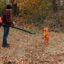 Pile Of Leaves And Leaf Blower Halloween Costumes For Kids Leaf Blower Old Outfits