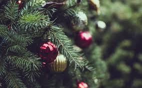 Maybe you would like to learn more about one of these? Deck The Halls With Our Christmas Tree Selection Guide Stauffers