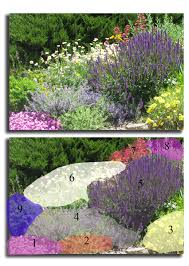 All Summer Blooms Pre Planned Garden Xeriscape Landscaping Colorado Landscaping Garden Planning