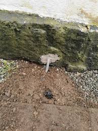 Image result for site:byggahus.se dra internet