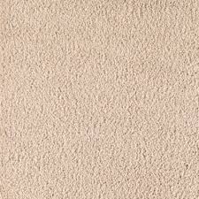 Top Card Carpet Skylight Carpeting Carpet Samples Home Decorators Collection Textured Carpet