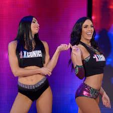An Alternative Look At WWE Evolution | The Chairshot