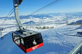 State of wyoming, near the border with idaho. Patagonia Pulls Business From Jackson Hole Mountain Resort After Right Wing Fundraiser Outside Business Journal