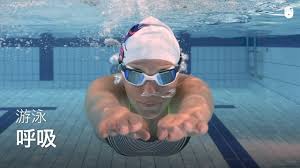 Swimming (as a water sport). åŸºæœ¬æ¸¸æ³³åŠ¨ä½œ å'¼å¸ å…‹æœå¯¹æ°´çš„ææƒ§ Youtube