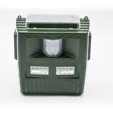 Résultat de recherche d'images pour "bird scarer from china"