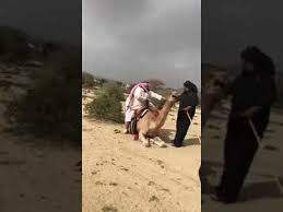 'you've given the three extra work ever since monday morning, all on account of your 'scruciating idleness,' said the djinn; Arabic Man Fall From Camel Funny Video Of Arab With Camel Youtube