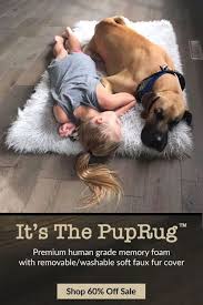 How To Make That Unruly Dog Your Best Friend Animals Orthopedic Dog Bed Orthopedic Dog
