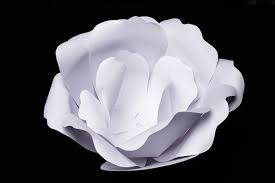 See the finished flower at the top of this post. Diy Giant Paper Flowers Tutorial Hostess With The Mostess
