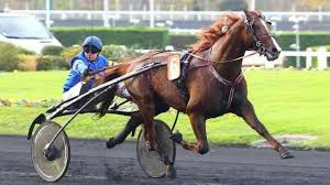 Pronostic Pmu Quinte Du Jour Et De Demain Gratuit Du Tierce Quarte Quinte Et Resultat Cheval De Course Quinte Du Jour Cheval