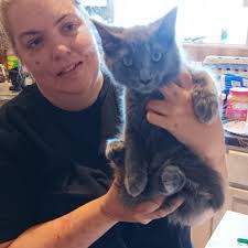 Ingy Omar's Instagram, Twitter & Facebook