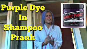 Today's prank was nostalgic, it reminded me of the good old superglue in the hair gel prank. Purple Dye In Shampoo Prank Top Boyfriend And Girlfriend Pranks Youtube