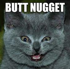 20 Ridiculous Cat Names Funny Cat Faces Funny Cat Pictures Funny Cats