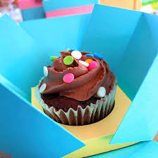 Download Diy Cupcake Gift Boxes 100 Directions
