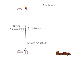 Die lichtintensität wird in der einheit lux gemessen. Forellenangeln Von A Bis Z 69 Tipps Wie Du Erfolgreich Forellen Fangst