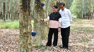 We did not find results for: Jokowi Dan Iriana Berpose Romantis Di Malam Minggu Iri Gaya Tempo Co