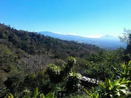 Altos de Naranjo nyomvonal