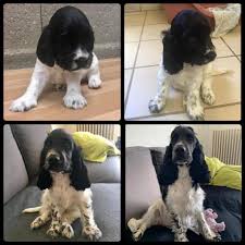 We did not find results for: Que Le Temps Passe Vite Miss Punkie