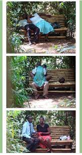737 x 552 jpeg 236 кб. Kudzai Mutisi On Twitter This Park Bench In Muliro Gardens Kenya Has Seen It All According To Folks In Kenya The Pictures Were Taken By Police Https T Co Fmxqwjquu3