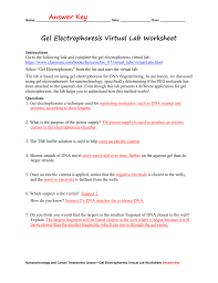 Gel Electrophoresis Virtual Lab Worksheet Kids Activities