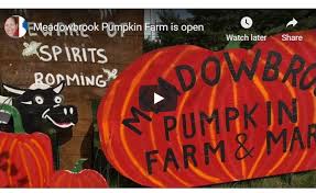 Pumpkin picking has always been a fun family activity and there are many farms where you can select your own pumpkin, enjoy a sweet treat, pick up some other fresh fruits and veggies to take home, and have a family is at the center of everything that happens at hunter farms in union, washington. Video Haunted Corn Maze Open At Meadowbrook Pumpkin Farm Washington County Insider