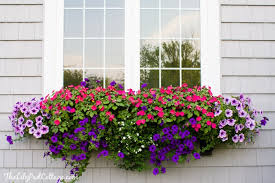 Would you like flower of. Window Box Tips My Former Black Thumb The Lilypad Cottage