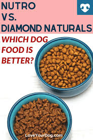 Our analysis of the ingredients show that this in our option, this is one of the most important properties to judge when reviewing pet food, therefore we believe this is an exceptional product in. Nutro Vs Diamond Naturals Which Dog Food Is Better Dog Food Recipes Dog Food Reviews Nutro Dog Food