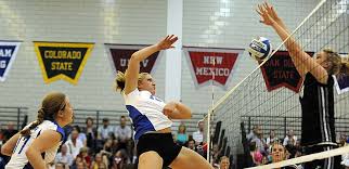 Si gioca in singolo maschile o femminile, doppio maschile o femminile o doppio misto su un campo rettangolare diviso da una rete alta 1,55 m alle estremità (pali di sostegno) e 1,524 m al centro. Il Giocatore Di Pallavolo Caratteristiche E Ruoli