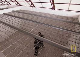 With sails as dark as a moonless night, and a hull painted to match, this legendary ship of the seven seas was every inch a pirate vessel. Harsh Scenes From Life Inside Russia S Toughest Prison Black Dolphin Creepy Gallery