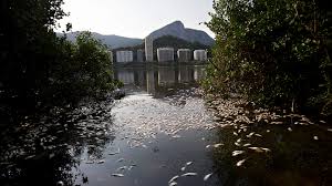 Our pollution reduction efforts have been successful in that olympic sailing events will take place on the bay, close to the mouth where it is. 2016 Rio Olympic Water Poses Serious Health Risks Test Finds