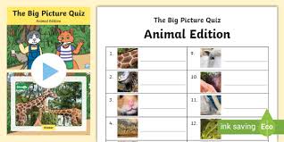 What is the name of the smallest fish in the world? Animal Picture Quiz With Answers Printable Animal Quiz